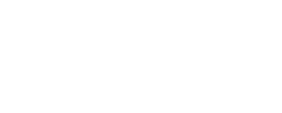Zynex Parts